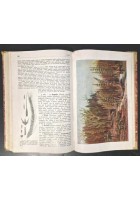 ZOOLOGIA E BOTANICA di Paolo Enriques 1910 Zanichelli ad uso delle scuole libro