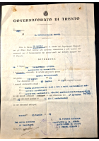 Documento GOVERNATORATO DI TRENTO 1919 Determina assunzione personale civile
