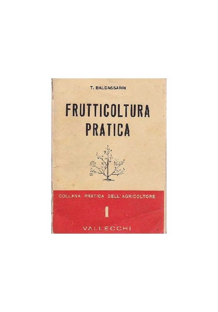 FRUTTICOLTURA PRATICA di Baldassarri 1953 Vallecchi Libro manuale alberi frutta
