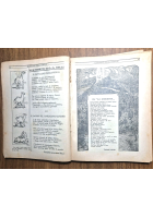 ALMANACCO DELLE FAMIGLIE 1935 Sonzogno utile istruttivo dilettevole Libro