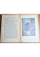 VITA DI VICTOR HUGO Arturo Pompeati 1936 Corticelli editore Libro Biografia