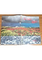 UNA TERRA RACCONTI E IMMAGINI DI PUGLIA di Peter e Helmut Zeller 1982 libro