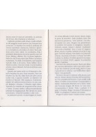 DIARIO ROMANO di Francesco Grisi  1994 Pellegrini editore Libro zaffiri