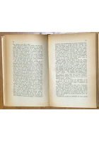 LA FAMIGLIA GOLOVLIOV di Michail Saltykov Scedrin 1947 I edizione Garzanti Libro