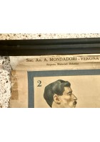 L'ALCOOLISMO lesioni organiche POSTER DIDATTICO Vintage Tavola Mondadori anni 30