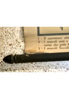 L'ALCOOLISMO lesioni organiche POSTER DIDATTICO Vintage Tavola Mondadori anni 30