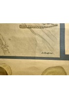 L'ALCOOLISMO lesioni organiche POSTER DIDATTICO Vintage Tavola Mondadori anni 30