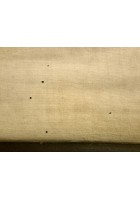 L'ALCOOLISMO lesioni organiche POSTER DIDATTICO Vintage Tavola Mondadori anni 30