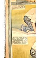 EMORRAGIA ASFISSIA POSTER DIDATTICO Vintage Tavola Paravia anni 30 infermieri
