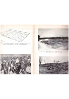 NATURA E PAESAGGIO IN PUGLIA di Luigi Ranieri 1971 Adriatica editore Libro