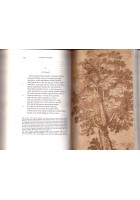 POESIA DEL QUATTROCENTO E DEL CINQUECENTO 1971 Einaudi Parnaso Libro Muscetta