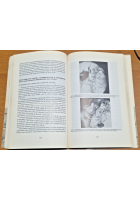 CAMILLO REINA GEOLOGO raccolta degli scritti 1985 ANNALE SPECIALE Libro
