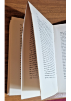 LEONARDO DA VINCI E LA GEOLOGIA di Giuseppe De Lorenzo 1989 Zanichelli Libro