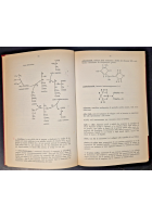 DIZIONARIO DI GENETICA di Robert King 1974 ISEDI Libro Manuale