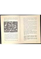 STORIA SUBLUNARE CELESTE DEL MAESTRO DEGLI ELFI di Franco Ferrara 1980 Libro