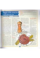 SAGRE DI PUGLIA Vittorio Stagnani 2001 Bracciodieta libro ricette cucina prodot