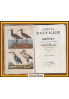 UCCELLI Storia Naturale di Buffon volume 39 Vignozzi 1832 Libro tavole a colori