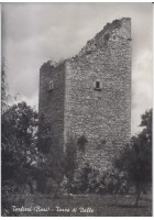TERLIZZI TORRE DI VALLE Cartolina Non Viaggiata anni '50 Bari lucida