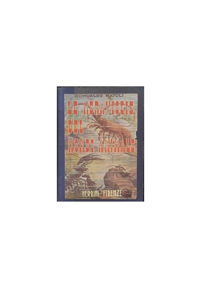 LE MERAVIGLIE DEL MONDO ANIMALE Romualdo Natoli 1941 Nerbini Libro illustrato