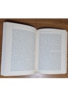 RITRATTI E PAESAGGI Il romanzo moderno di Andrea Caterini 2019 Castelvecchi Libr