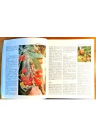 La terra dell'ulivo Guida enogastronomica della Puglia 1993 Mario Adda - cucina