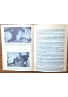 POLITICAL STATUS FOR IRISH PRISONERS OF WAR 1981 CORRISPONDENZA INTERNAZIONALE