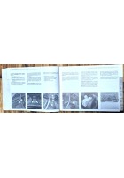 BMW USO E MANUTENZIONE LIBRETTO DI SERVIZIO 1985 Libro automobile