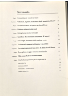 I VICHINGHI di Robert Wernick 1989 i Grandi Navigatori CDE Mondadori Libro