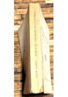BATTAGLIE VERISTICHE DELL'OTTOCENTO di Giulio Marzot 1941 Principato Libro