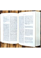 GUIDA LETTERARIA DELL'ITALIA di Doris e Arnold Maurer 1993 Guanda Libro