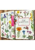 FIORI DI MONTAGNA di Anthony Huxley 1969 Editrice SAIE Libro