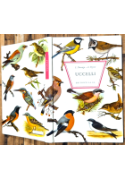 UCCELLI di S Durango A Peyrot 1970 Editrice SAIE Libro