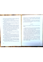 L'ORDINAMENTO ECONOMICO NAZIONALSOCIALISTA di Renè Dubail 1991 del Veltro Libro