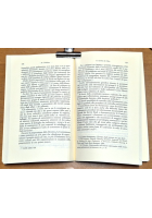 K IL LOBBISTA di Lucia Fiorentino 2007 Edizioni Scientifiche Italiane Libro