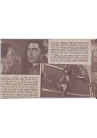 IL FIGLIO DELLA FURIA albo Film Star settembre 1946 Tyron Power foto tratte dal