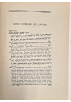 NEL RISORGIMENTO DEL MEZZOGIORNO di Vincenzo Roppo 1931 Domenico Morea Libro