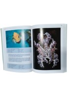 LA FOTOGRAFIA NATURALISTICA SUBACQUEA di Massimo Boyer 2014 Magenes Libro