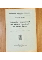 VISITANDO I DEPERIMENTI NEI VIGNETI RICOSTITUITI DEL BASSO BARESE Giuseppe Musci