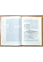 ELEMENTI DI BOTANICA di Sergio Tonzig Volume II 1968 Ambrosiana Libro 2
