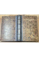 LE METAMORFOSI DI DINO COMPAGNI SBUGIARDATE da Pietro Fanfani 1878 Libro antico