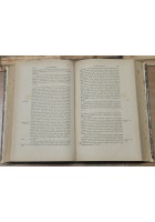 LE METAMORFOSI DI DINO COMPAGNI SBUGIARDATE da Pietro Fanfani 1878 Libro antico