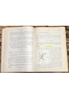 ESERCIZI COMPLEMENTI DI GEOMETRIA di Giuseppe Vaccaro 1984 Virgilio Veschi Libro