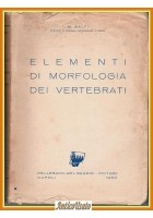 ELEMENTI DI MORFOLOGIA DEI VERTEBRATI di M Salfi 1950 Pellerano Del Gaudio Libro