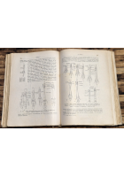 ELEMENTI DI MORFOLOGIA DEI VERTEBRATI di M Salfi 1950 Pellerano Del Gaudio Libro