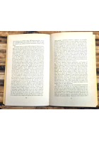 LEVIATANO di Paul Auster 2001 Guanda Narratori della Fenice romanzo Libro