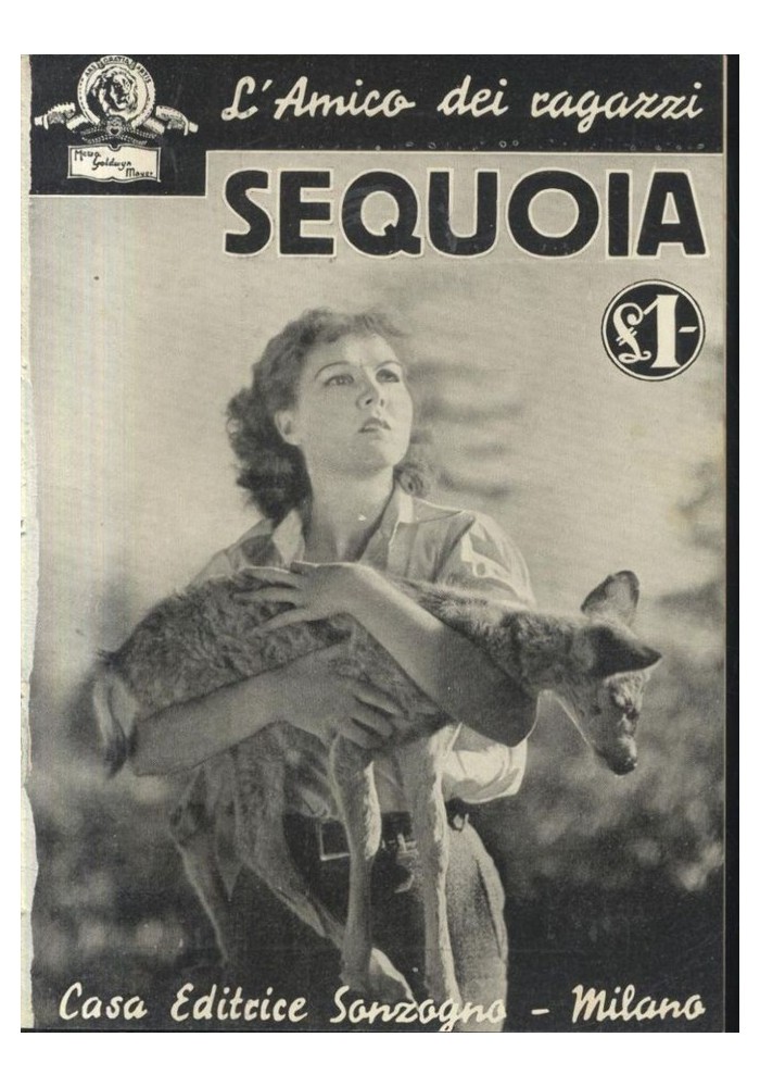 SEQUOIA con foto tratte dal film MGM 1936 Sonzogno racconto cinematografico