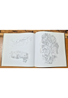 THE AGILE RABBIT BOOK OF HISTORICAL AND CURIOUS MAPS Pepin Press 2005 libro e CD