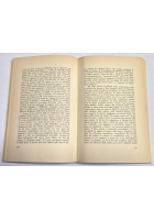 MATERIALISMO E CULTURA di Raymond Williams 1983 Tullio Pironti Libro sociologia