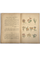 CORSO DI LETTURE Giacomo Veniali scuole elementari rurali 1917 Libro 2 classe