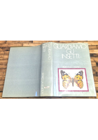 GUARDIAMO GLI INSETTI di Pierfranco Blesio 1976 La Scuola Libro Entomologia